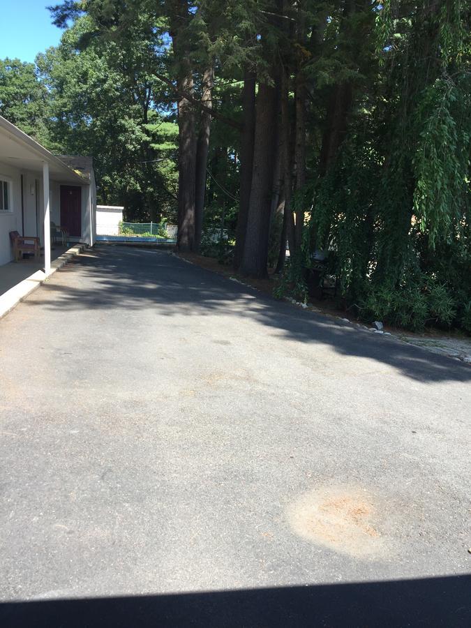 North King Motel Northampton Exterior foto